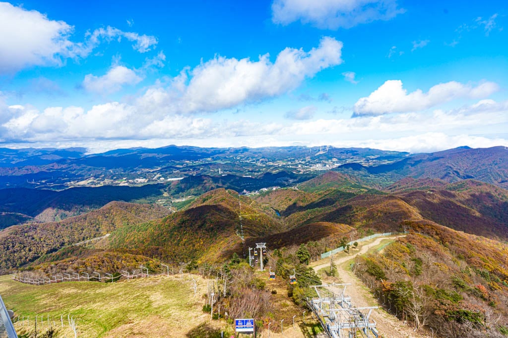 가을이 지고 있던 발왕산 천년주목숲길과 발왕산 스카이워크 방문기 32