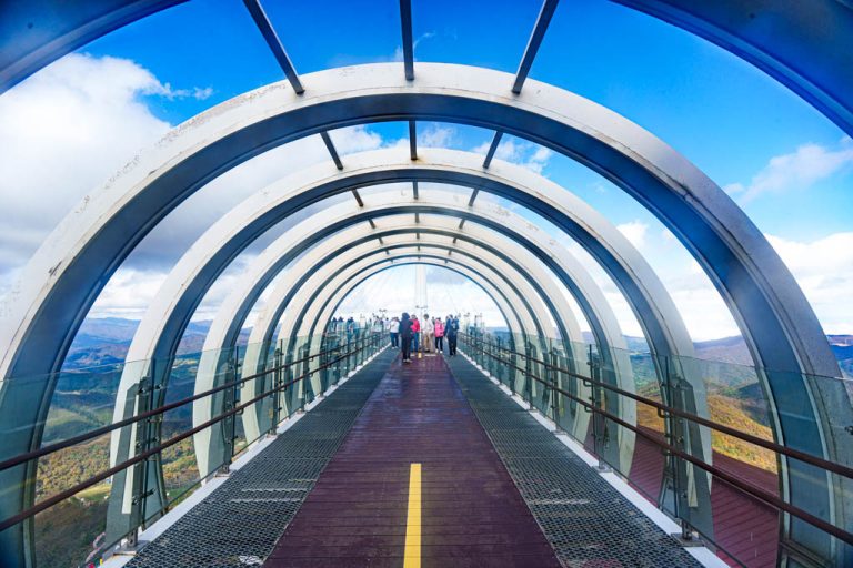 발왕산 케이블카 발왕산천년주목숲길 풍경, DSC00751-, Photo by Happist