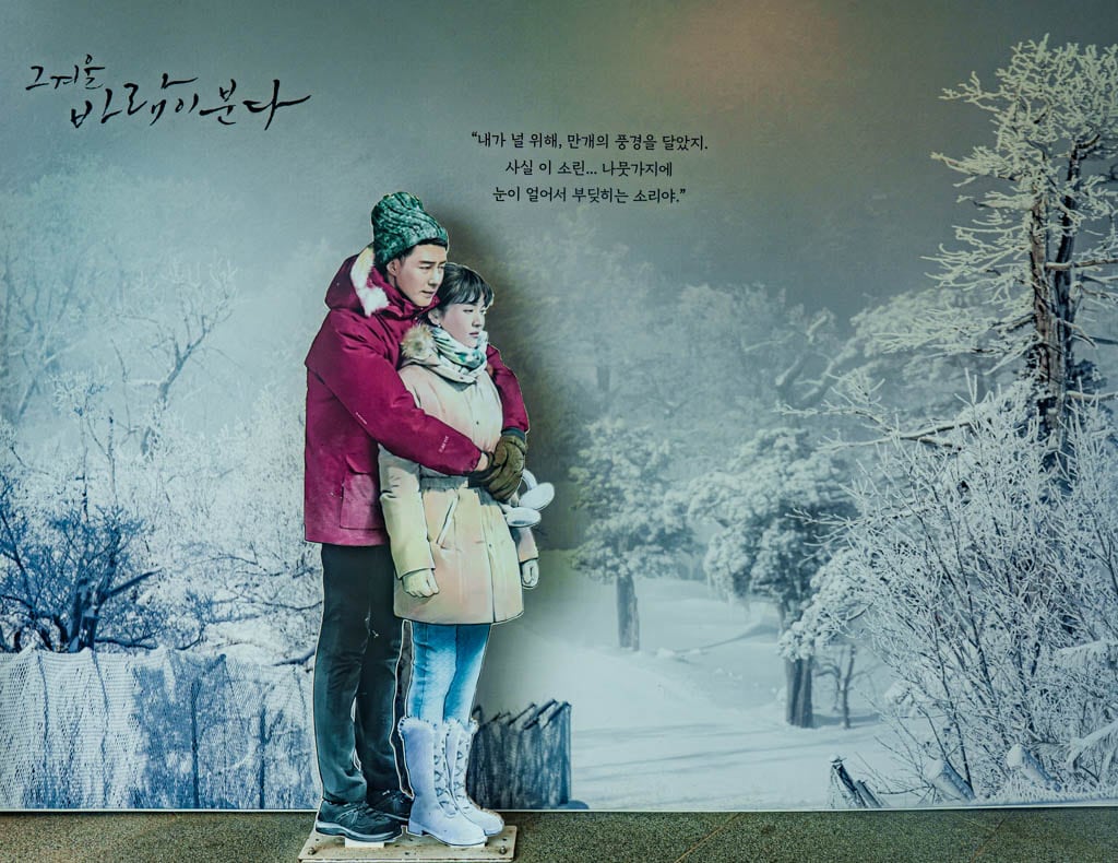 가을이 지고 있던 발왕산 천년주목숲길과 발왕산 스카이워크 방문기 42