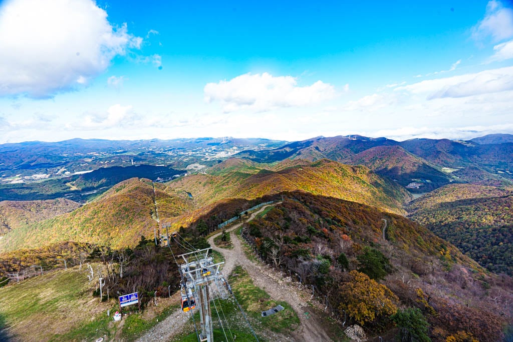 가을이 지고 있던 발왕산 천년주목숲길과 발왕산 스카이워크 방문기 31