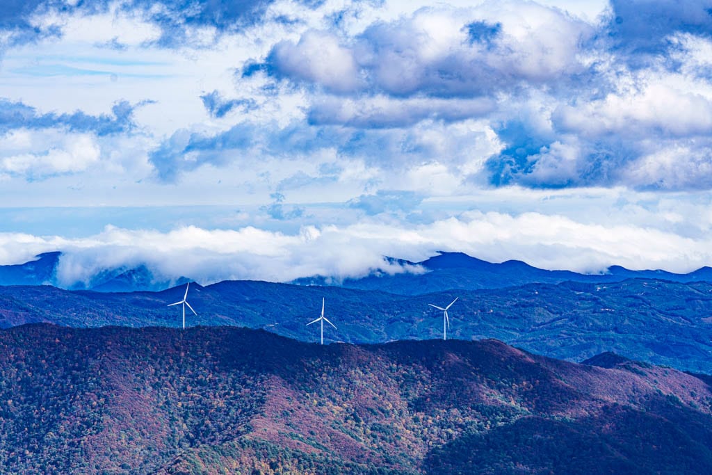 가을이 지고 있던 발왕산 천년주목숲길과 발왕산 스카이워크 방문기 46