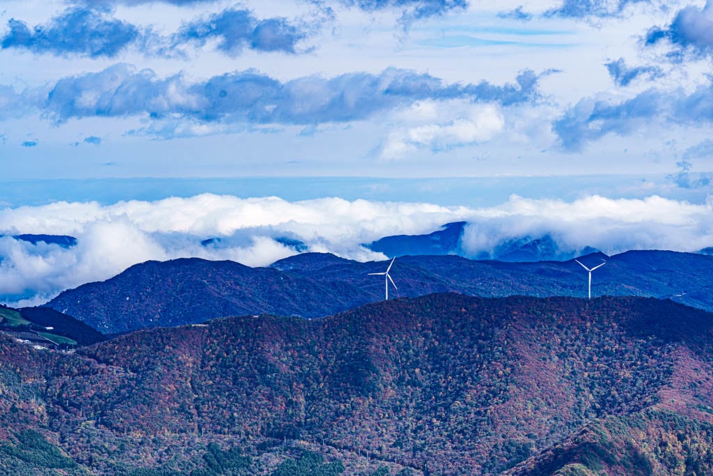 가을이 지고 있던 발왕산 천년주목숲길과 발왕산 스카이워크 방문기 45