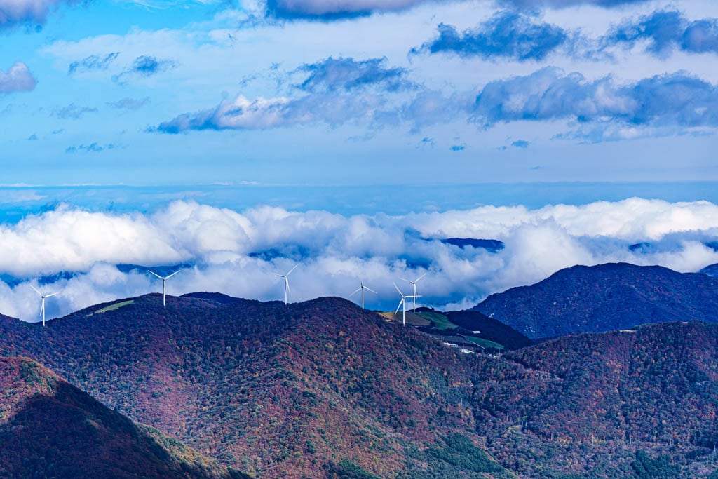 가을이 지고 있던 발왕산 천년주목숲길과 발왕산 스카이워크 방문기 44