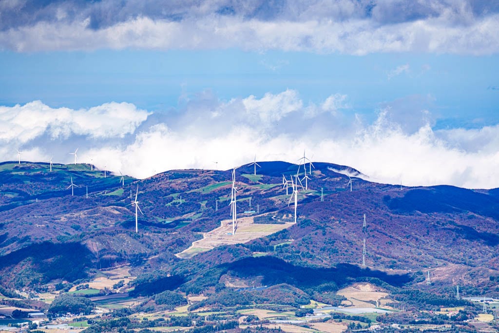 가을이 지고 있던 발왕산 천년주목숲길과 발왕산 스카이워크 방문기 43