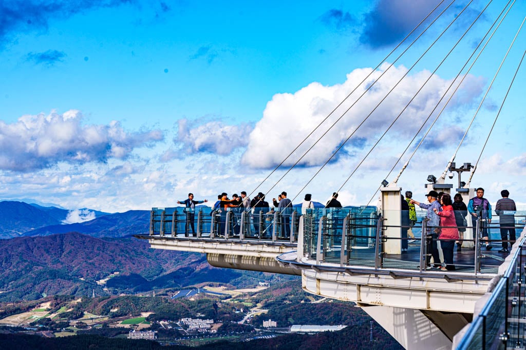 가을이 지고 있던 발왕산 천년주목숲길과 발왕산 스카이워크 방문기 27