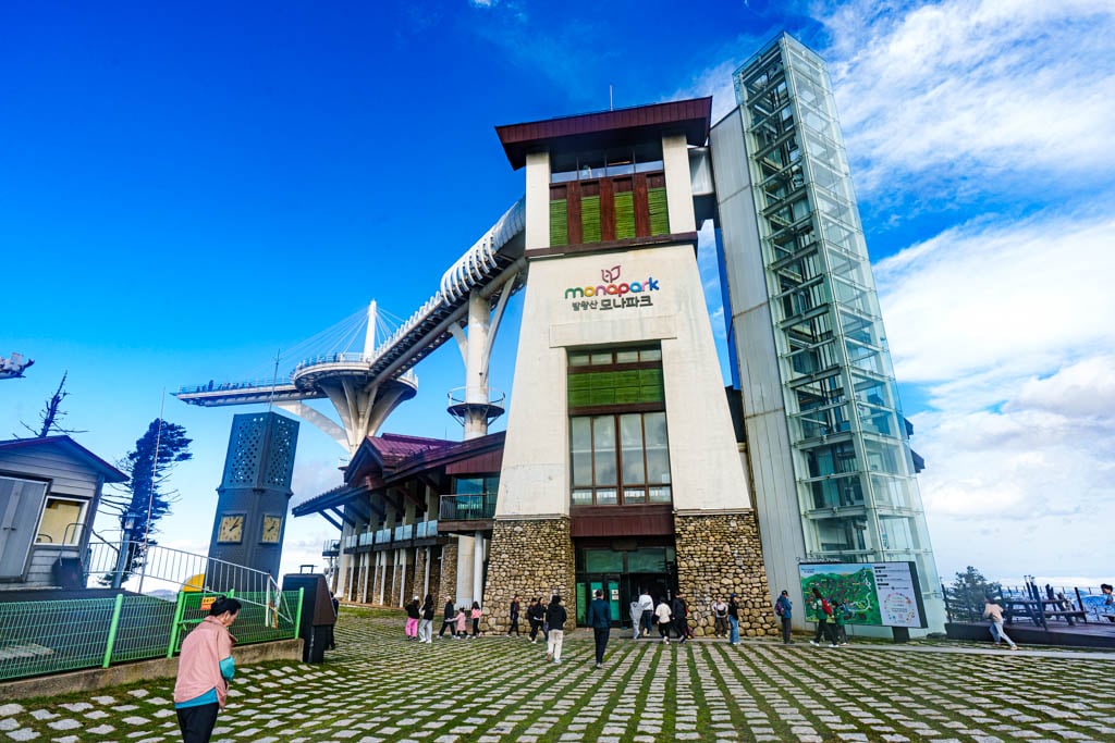 가을이 지고 있던 발왕산 천년주목숲길과 발왕산 스카이워크 방문기 22