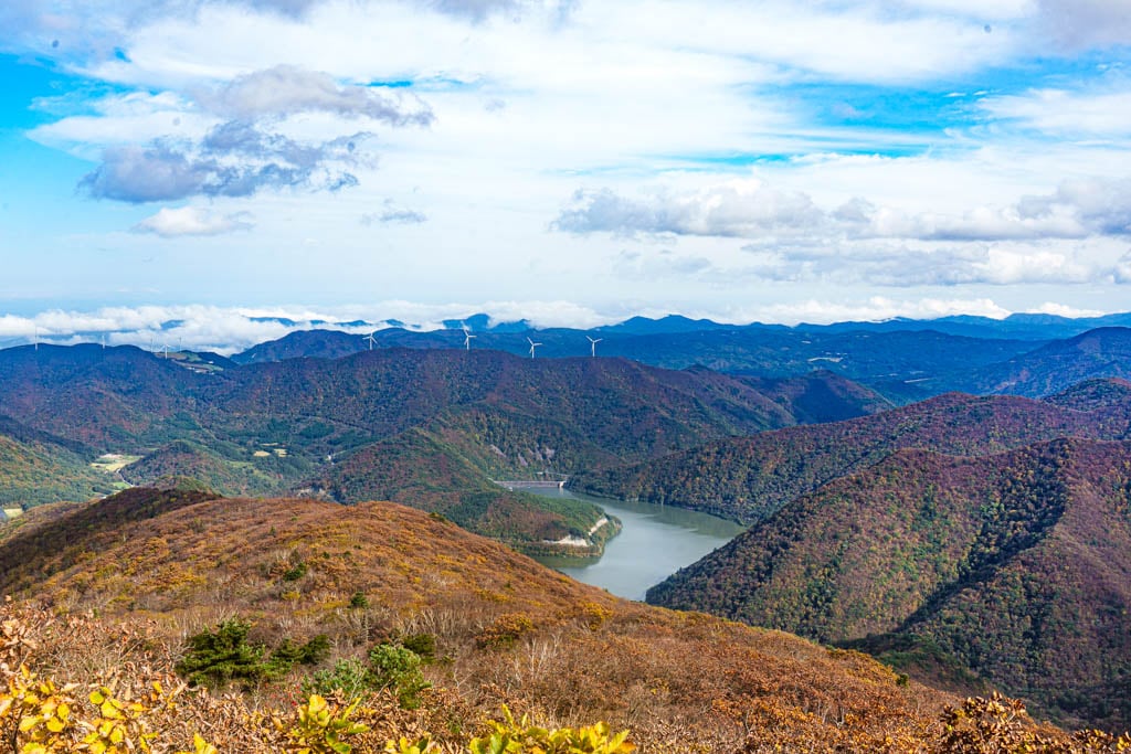가을이 지고 있던 발왕산 천년주목숲길과 발왕산 스카이워크 방문기 51