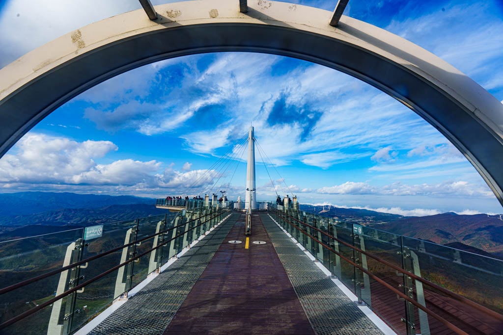 가을이 지고 있던 발왕산 천년주목숲길과 발왕산 스카이워크 방문기 28