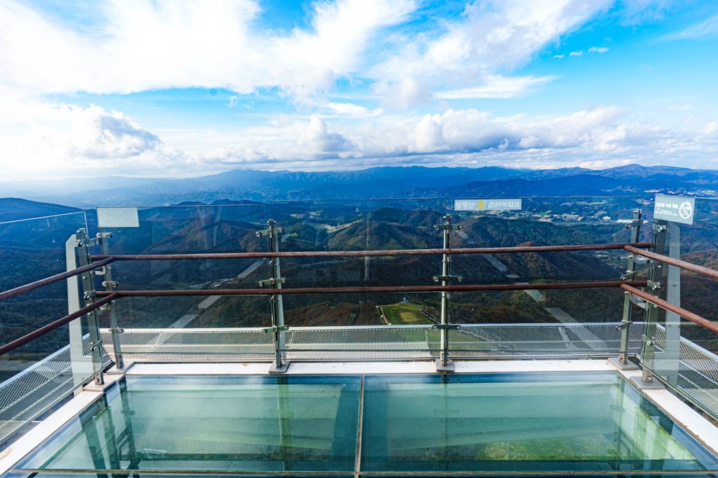 가을이 지고 있던 발왕산 천년주목숲길과 발왕산 스카이워크 방문기 29