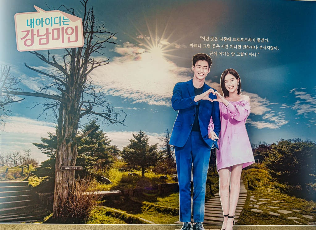 가을이 지고 있던 발왕산 천년주목숲길과 발왕산 스카이워크 방문기 41