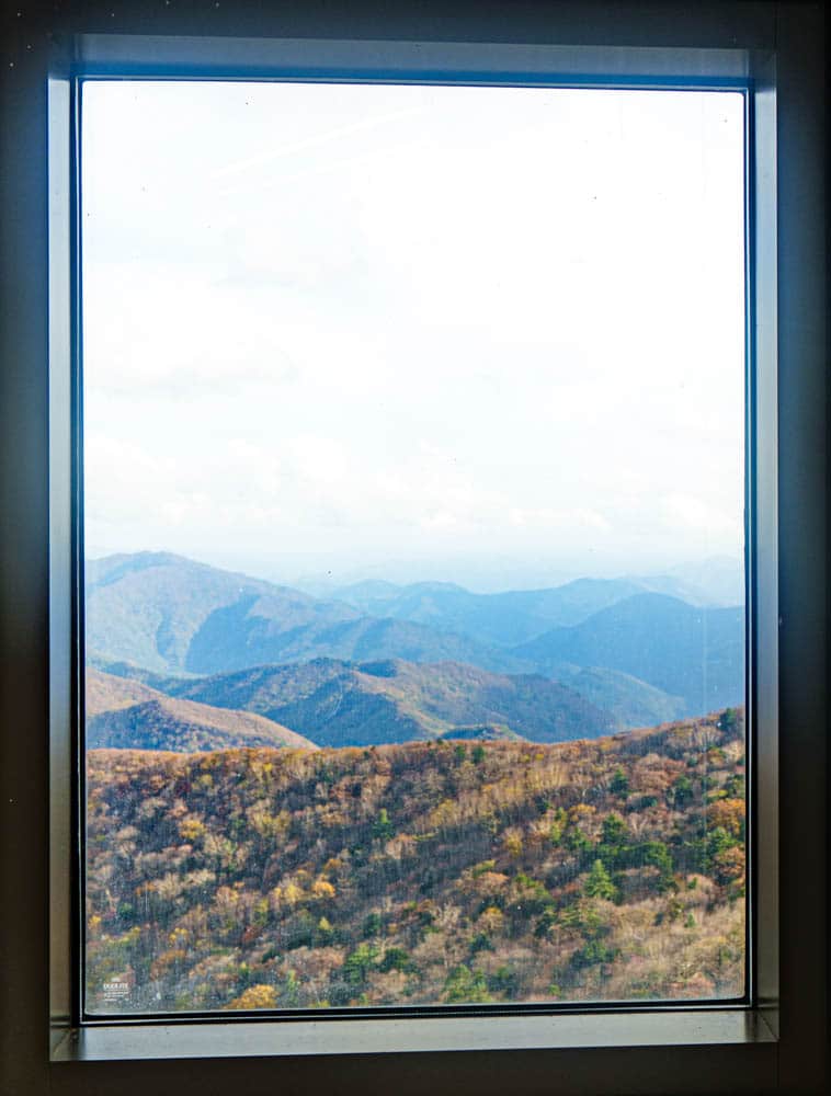 가을이 지고 있던 발왕산 천년주목숲길과 발왕산 스카이워크 방문기 47