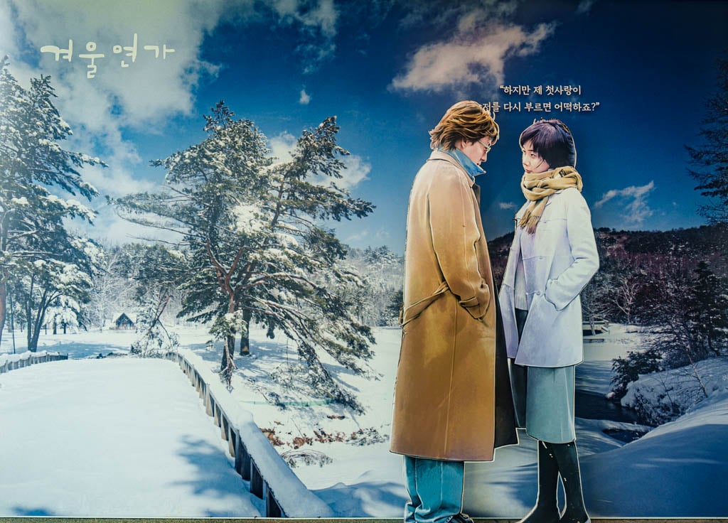 가을이 지고 있던 발왕산 천년주목숲길과 발왕산 스카이워크 방문기 39