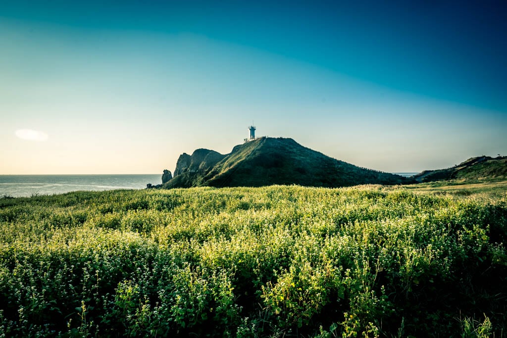 제주여행, 가장 완벽했던 섭지코지 산책코스 풍경 23