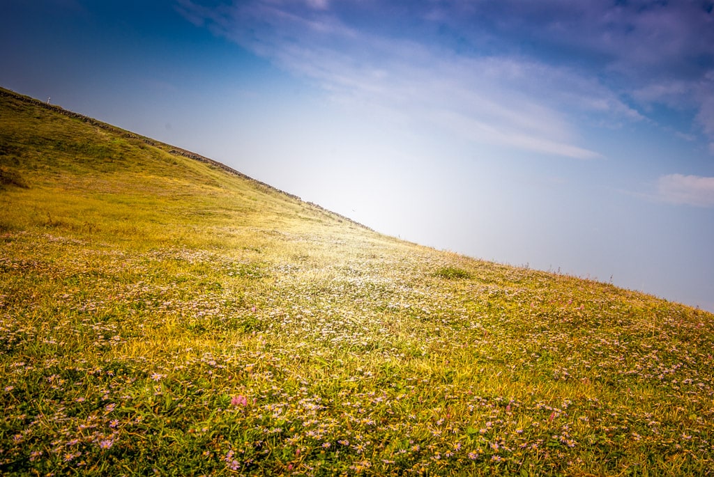 제주여행, 가장 완벽했던 섭지코지 산책코스 풍경 21