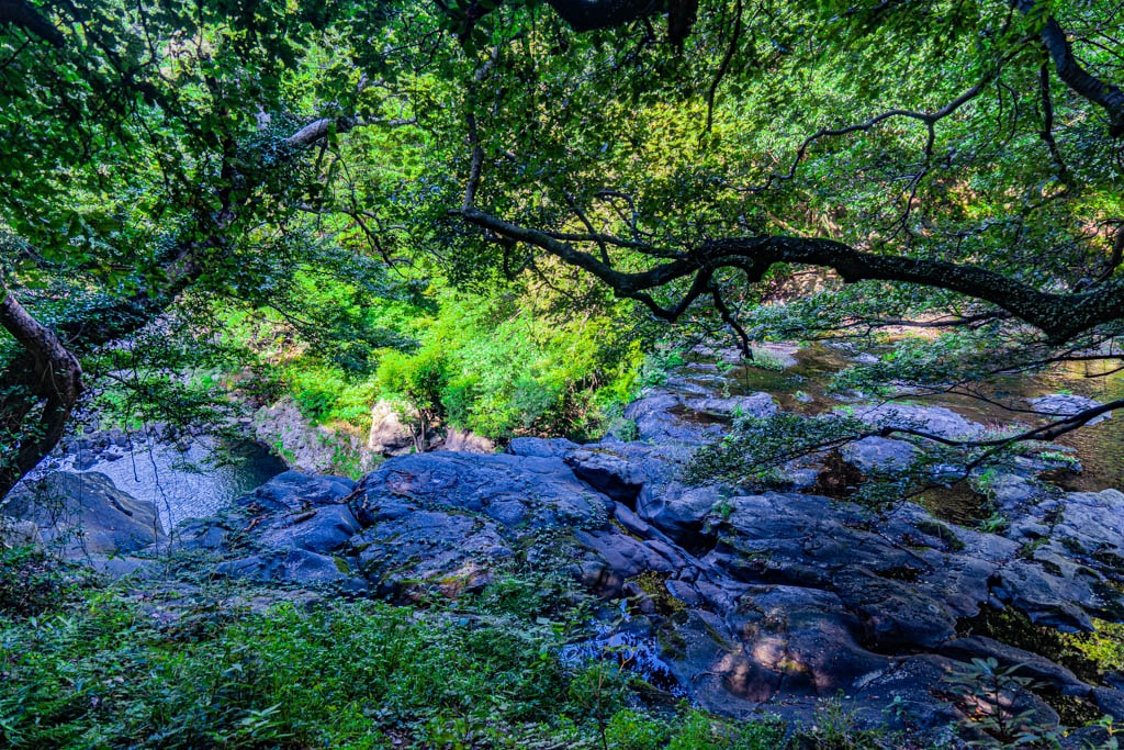 천제연폭포, 제주에서 만난 세 개의 폭포 6