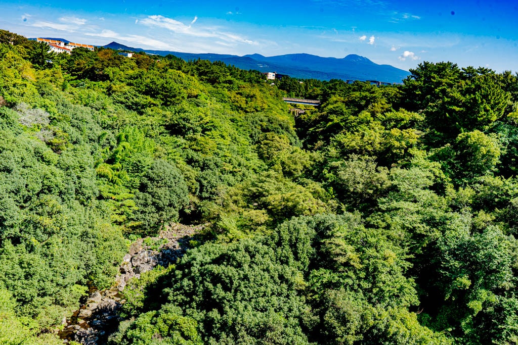천제연폭포, 제주에서 만난 세 개의 폭포 8