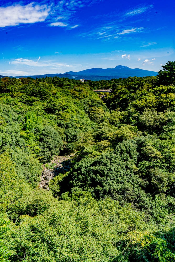 천제연폭포, 제주에서 만난 세 개의 폭포 9