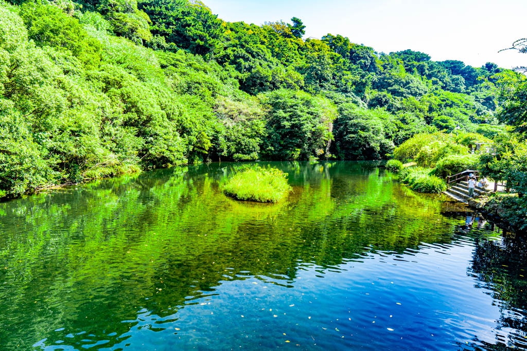 제주여행, 천지연폭포, 하늘과 땅이 만난 곳 48 제주여행, 천지연폭포, 하늘과 땅이 만난 곳 22