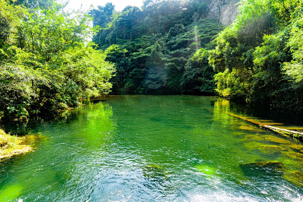 제주여행, 천지연폭포, 하늘과 땅이 만난 곳 49 제주여행, 천지연폭포, 하늘과 땅이 만난 곳 23