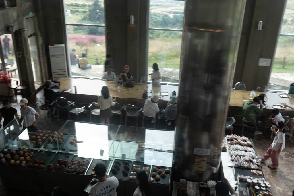 가을 제주여행 시 가볼만한 카페, 핑크뮬리 핫플 새별오름뷰 새빌 카페(새빌 제주) 30