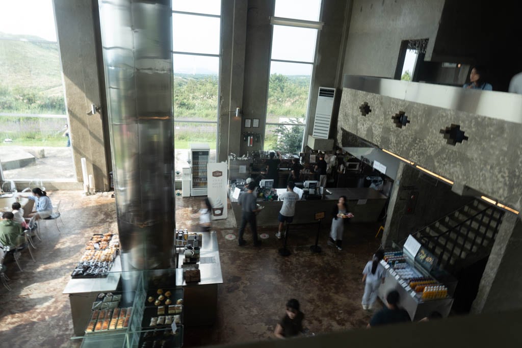 가을 제주여행 시 가볼만한 카페, 핑크뮬리 핫플 새별오름뷰 새빌 카페(새빌 제주) 31