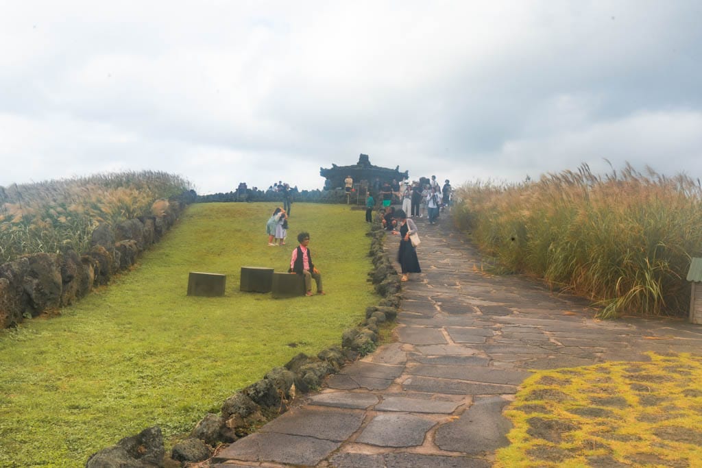 제주 억새여행, 산궁부리 억새, 억새여행의 명불허전 170 제주여행(2510)_산궁부리 억새여행_산궁부리 전망대 풍경, DSC00308-, Photo by Happist