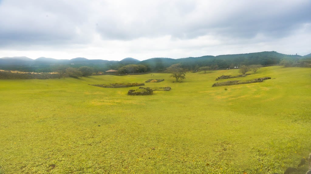 제주 억새여행, 산궁부리 억새, 억새여행의 명불허전 173 제주여행(2510)_산궁부리 억새여행_산궁부리 전망대에서 왼편으로 내려오는 길의 영화 화양연화 촬영지 풍경, DSC00387-, Photo by Happist