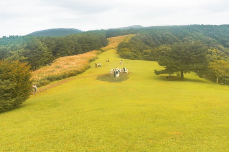 제주여행(2510)_산궁부리 억새여행_산궁부리 전망대에서 왼편으로 내려오는 길의 영화 화양연화 촬영지 풍경, DSC00393-, Photo by Happist