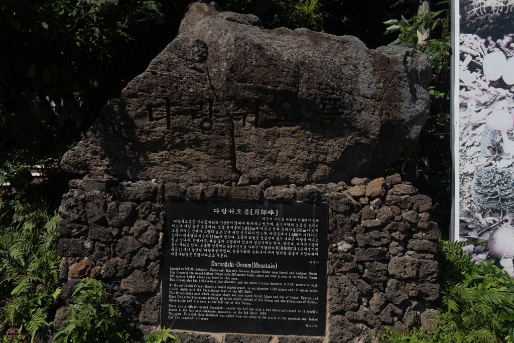 제주 억새여행, 오름의 여왕이라는 다랑쉬오름 방문기 145 제주 억새여행, 오름의 여왕이라는 다랑쉬오름 방문기 142