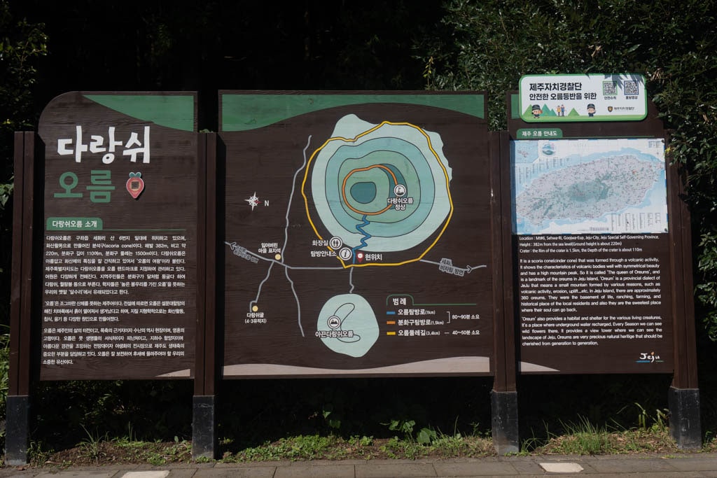 제주 억새여행, 오름의 여왕이라는 다랑쉬오름 방문기 144 제주 억새여행, 오름의 여왕이라는 다랑쉬오름 방문기 141