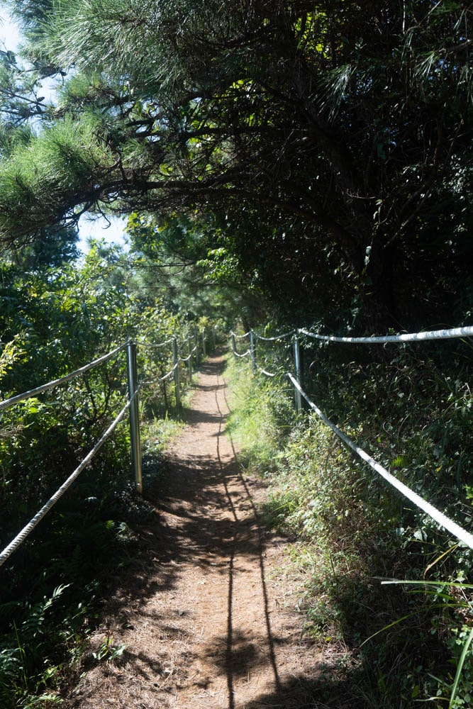 제주 억새여행, 오름의 여왕이라는 다랑쉬오름 방문기 148 제주 억새여행, 오름의 여왕이라는 다랑쉬오름 방문기 145