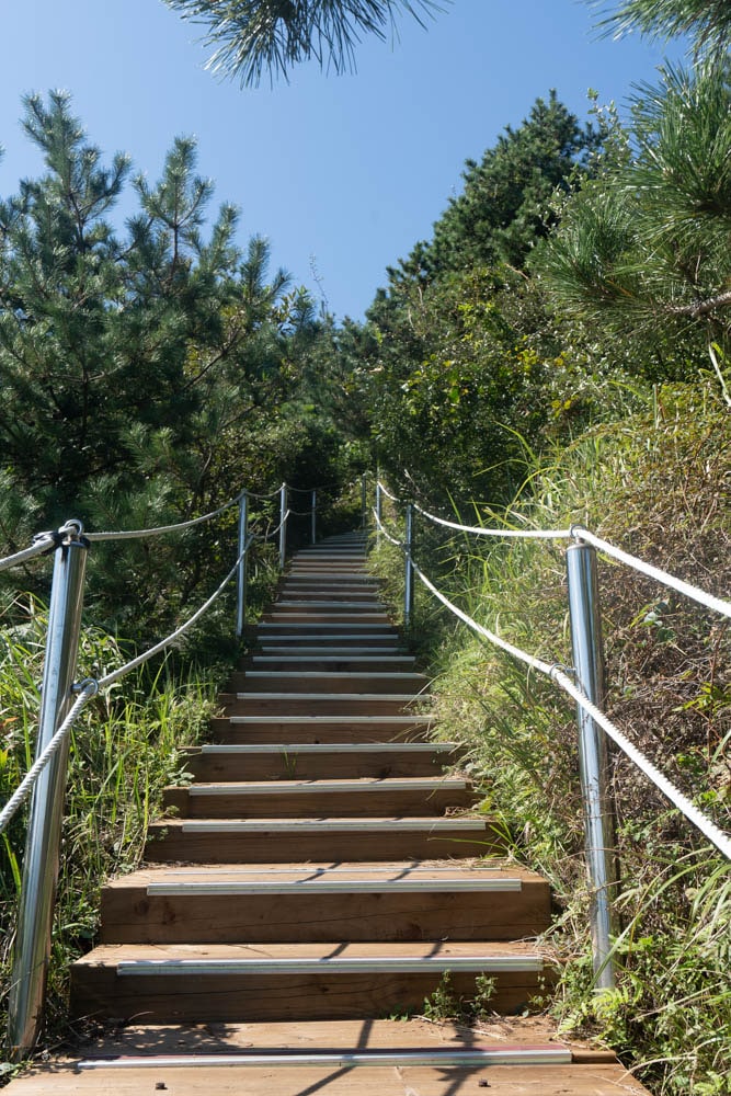 제주 억새여행, 오름의 여왕이라는 다랑쉬오름 방문기 147 제주 억새여행, 오름의 여왕이라는 다랑쉬오름 방문기 144