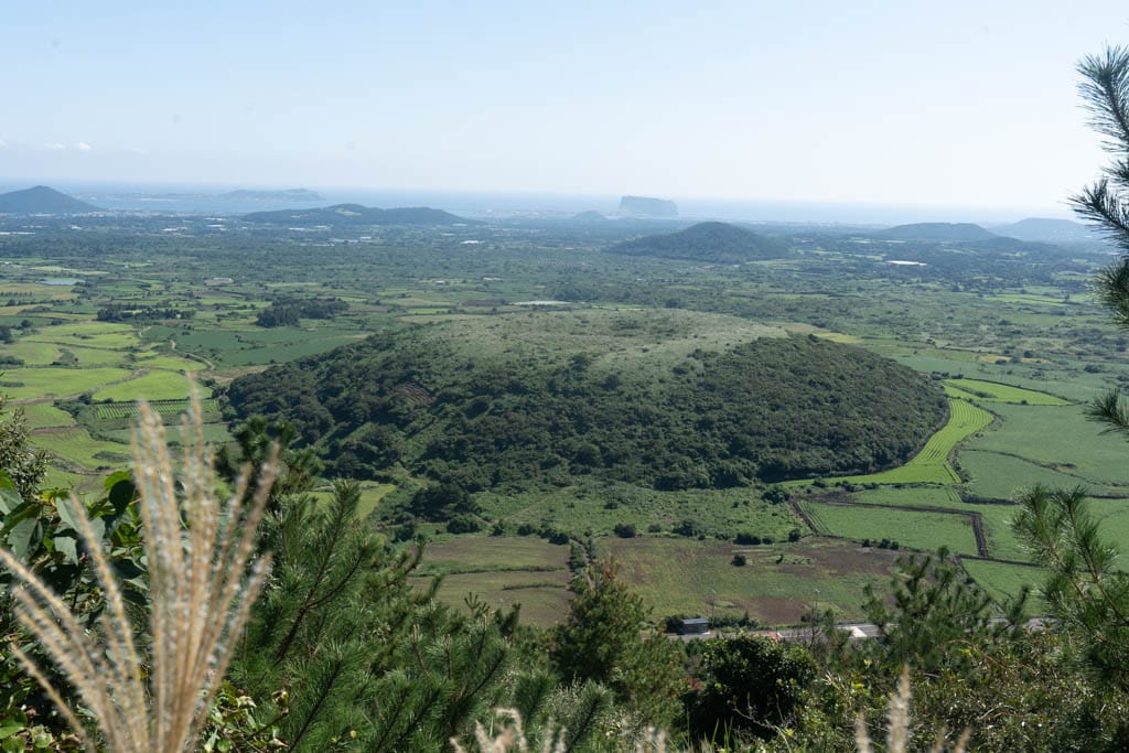 제주 억새여행, 오름의 여왕이라는 다랑쉬오름 방문기 149 제주 억새여행, 오름의 여왕이라는 다랑쉬오름 방문기 146