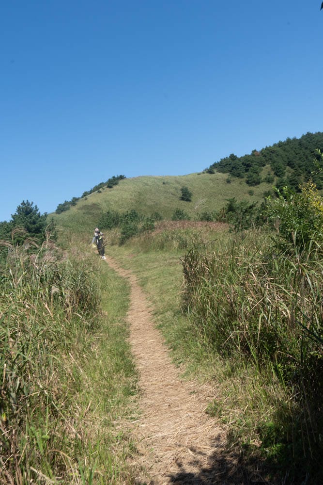 제주 억새여행, 오름의 여왕이라는 다랑쉬오름 방문기 152 제주 억새여행, 오름의 여왕이라는 다랑쉬오름 방문기 149