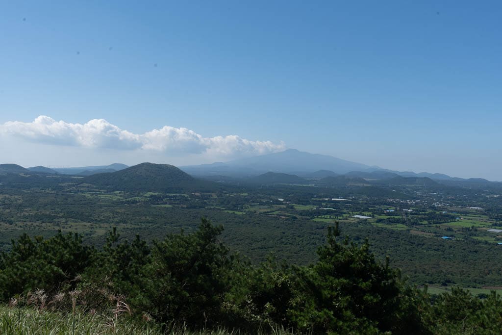제주 억새여행, 오름의 여왕이라는 다랑쉬오름 방문기 150 제주 억새여행, 오름의 여왕이라는 다랑쉬오름 방문기 147