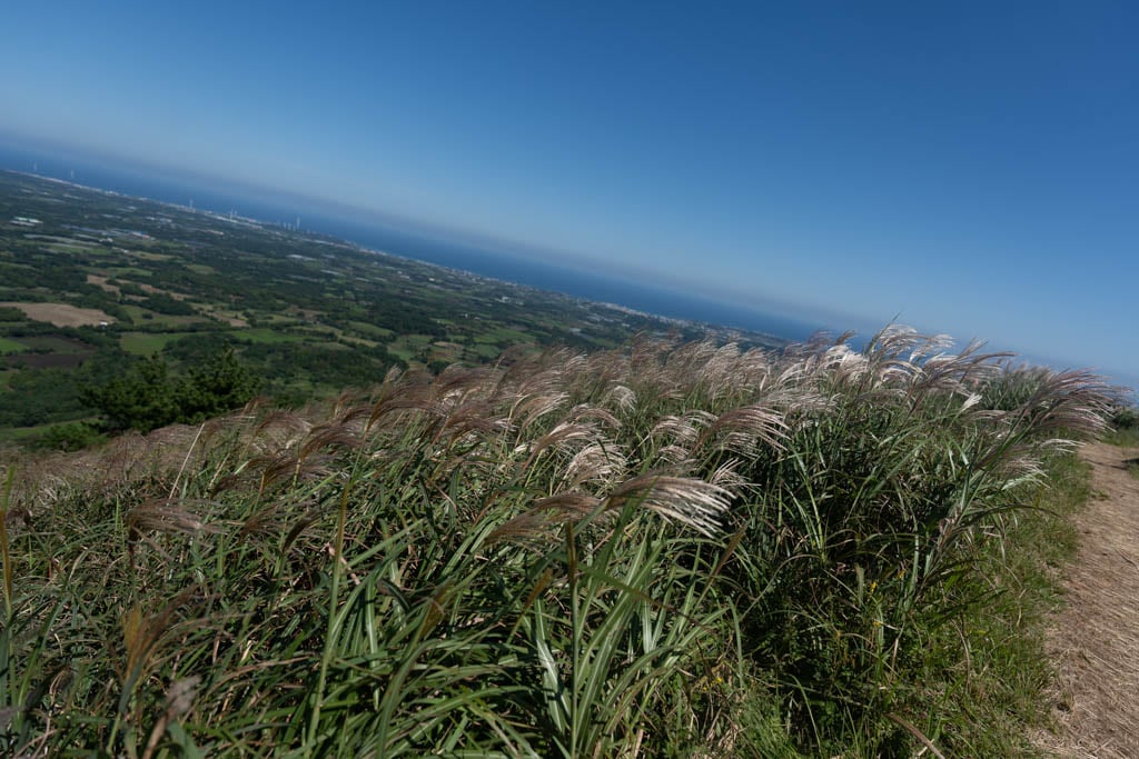 제주 억새여행, 오름의 여왕이라는 다랑쉬오름 방문기 158 제주 억새여행, 오름의 여왕이라는 다랑쉬오름 방문기 155