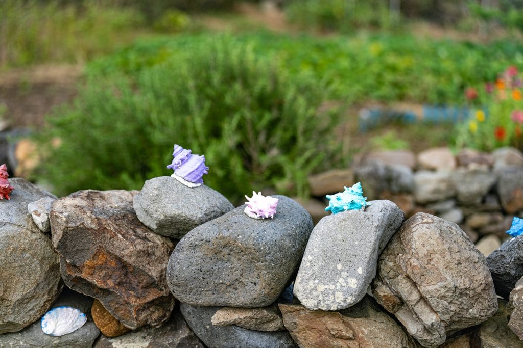 제주여행, 가을 가파도 여행, 봄만큼 아름다운 섬 30