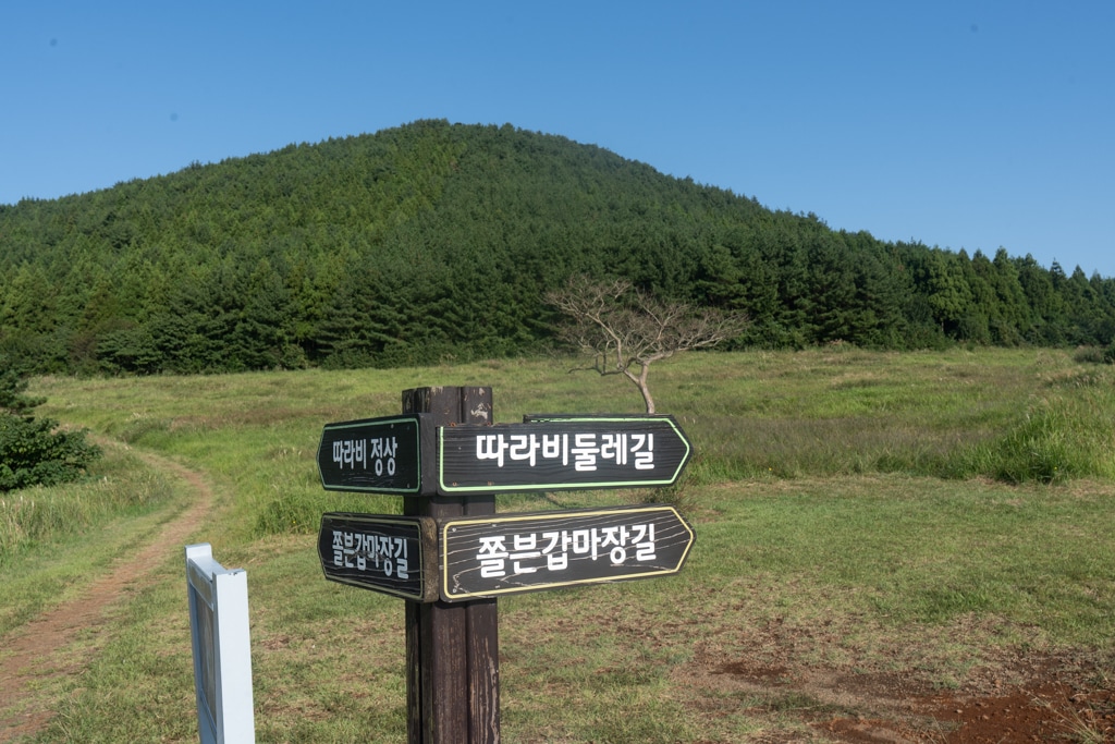 제주 억새여행, 오름의 여왕 따라비오름 억새를 보다 1