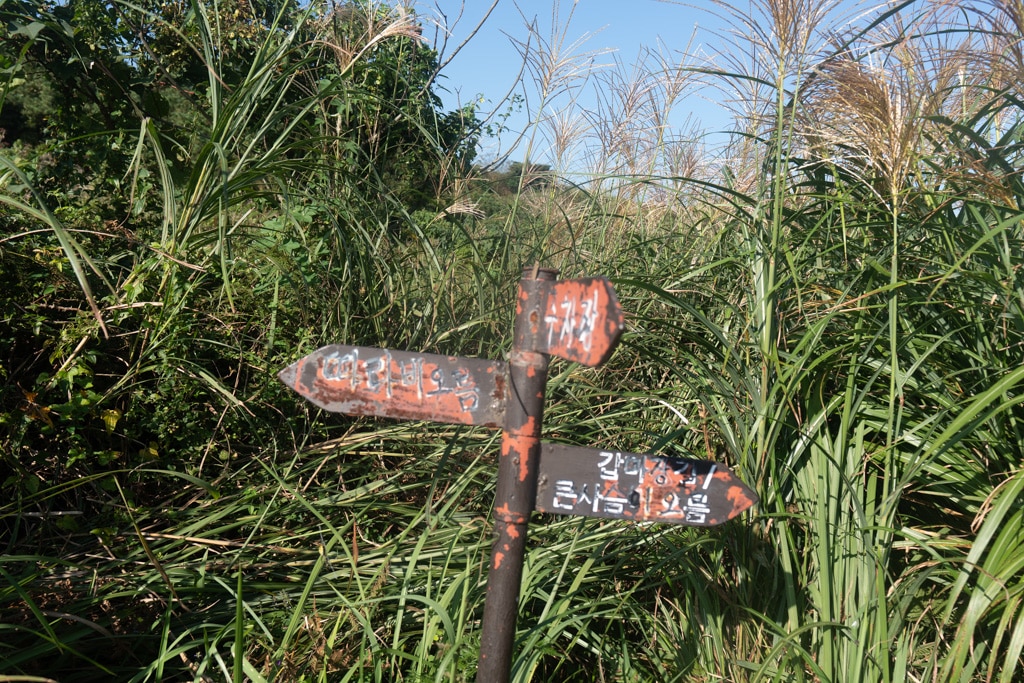 제주 억새여행, 오름의 여왕 따라비오름 억새를 보다 3