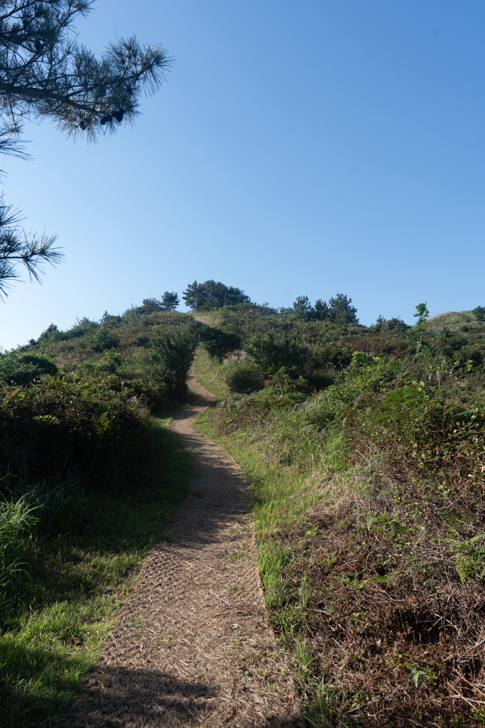 제주 억새여행, 오름의 여왕 따라비오름 억새를 보다 5