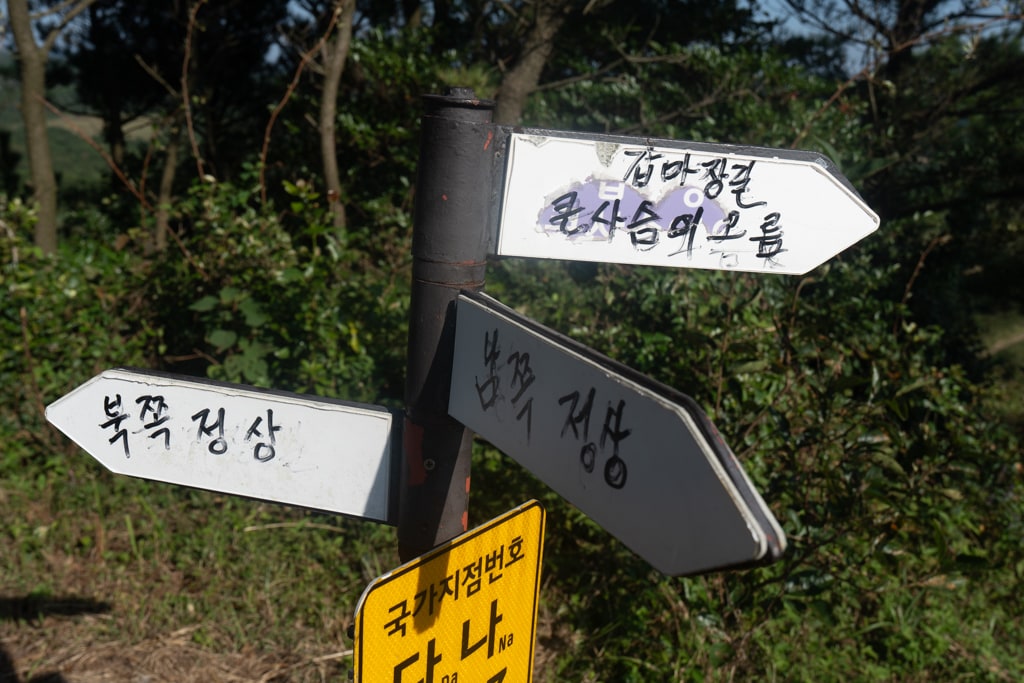 제주 억새여행, 오름의 여왕 따라비오름 억새를 보다 4