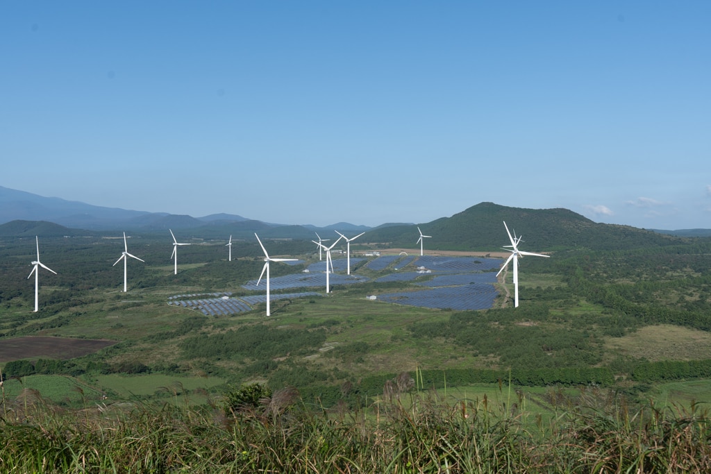 제주 억새여행, 오름의 여왕 따라비오름 억새를 보다 6