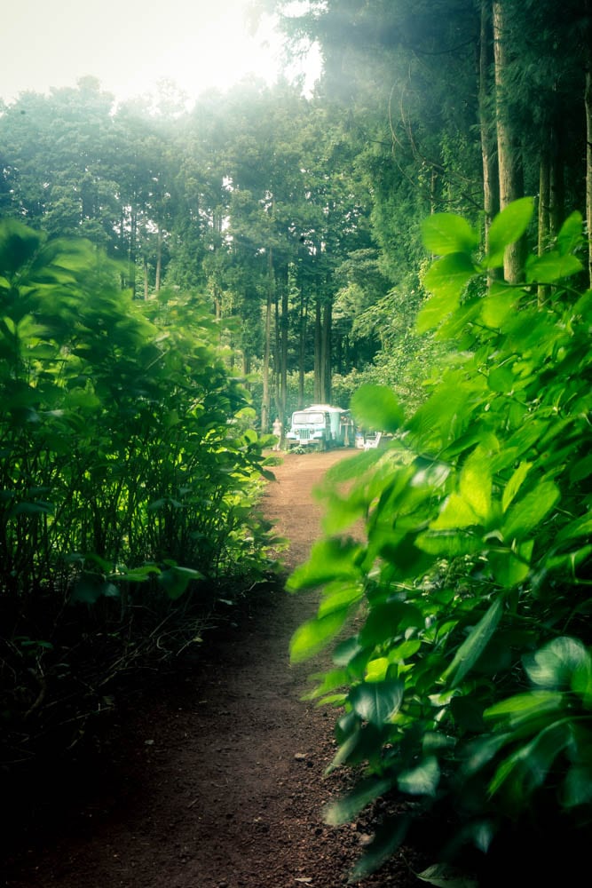 제주여행, 제주 비밀의숲 풍경을 담다. 130 제주여행, 제주 비밀의숲 풍경을 담다. 128