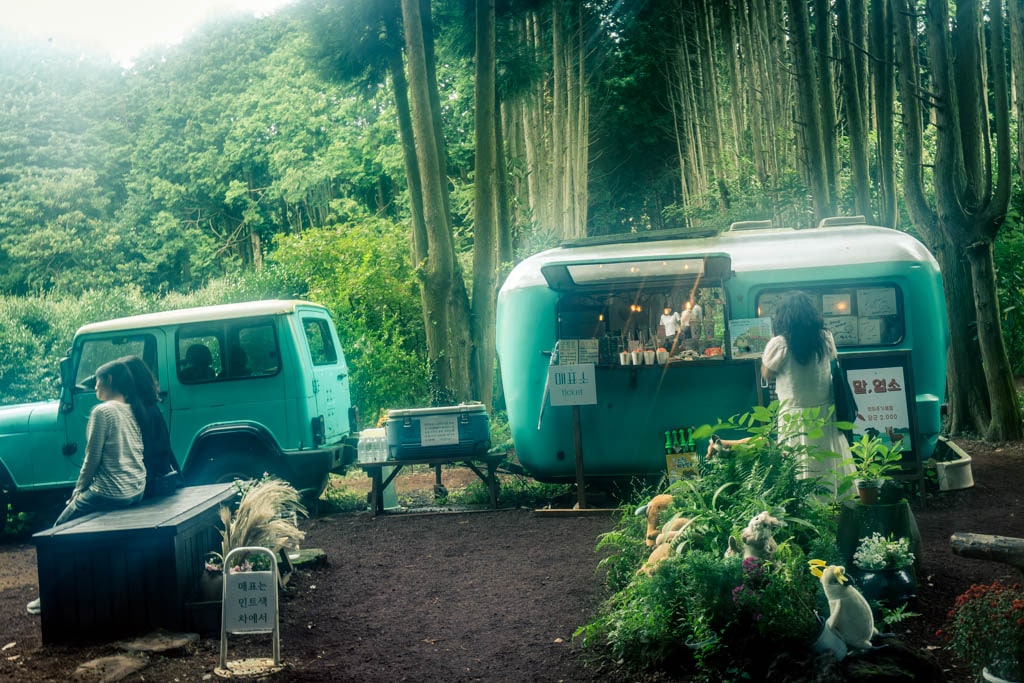 제주여행, 제주 비밀의숲 풍경을 담다. 118 제주여행, 제주 비밀의숲 풍경을 담다. 116