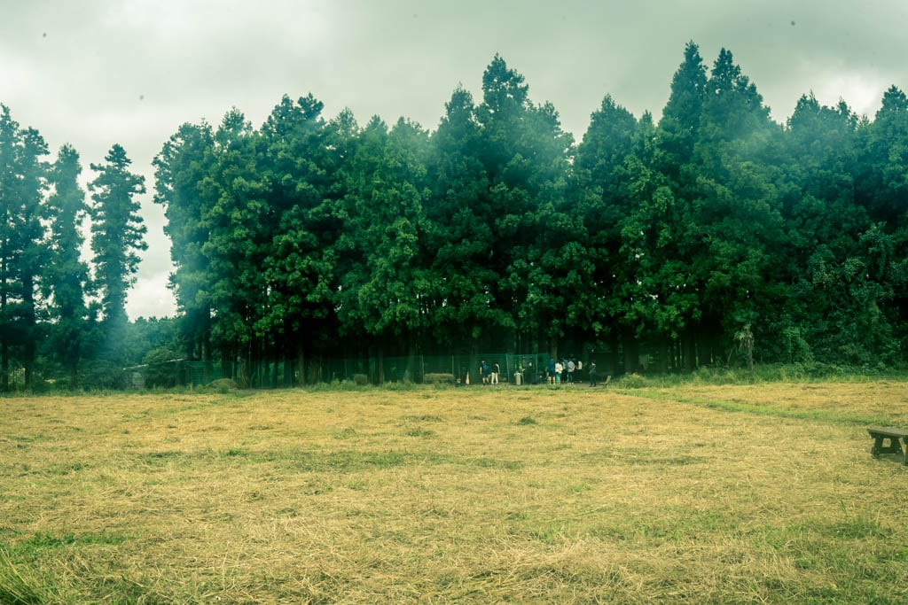 제주여행, 제주 비밀의숲 풍경을 담다. 132 제주여행, 제주 비밀의숲 풍경을 담다. 130