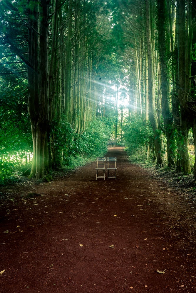 제주여행, 제주 비밀의숲 풍경을 담다. 123 제주여행, 제주 비밀의숲 풍경을 담다. 121