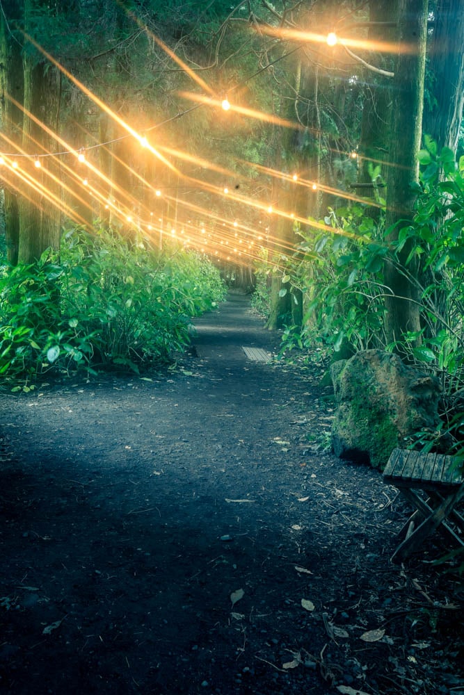 제주여행, 제주 비밀의숲 풍경을 담다. 127 제주여행, 제주 비밀의숲 풍경을 담다. 125