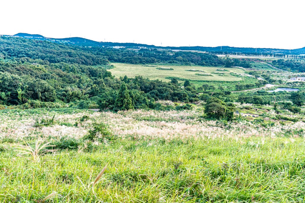 제주 억새여행, 억새 명소 새별오름 석양을 보다 74 제주 억새여행, 억새 명소 새별오름 석양을 보다 73