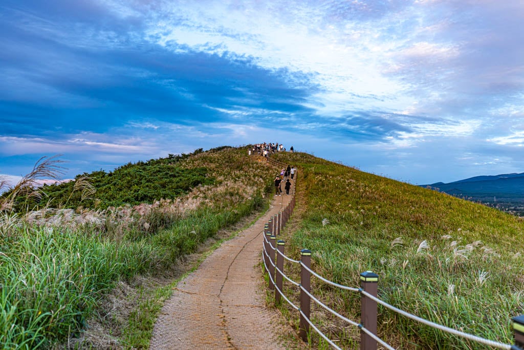 제주 억새여행, 억새 명소 새별오름 석양을 보다 75 제주 억새여행, 억새 명소 새별오름 석양을 보다 74