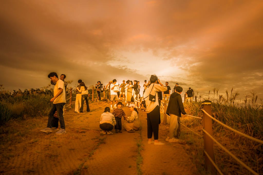 제주 억새여행, 억새 명소 새별오름 석양을 보다 78 제주 억새여행, 억새 명소 새별오름 석양을 보다 77
